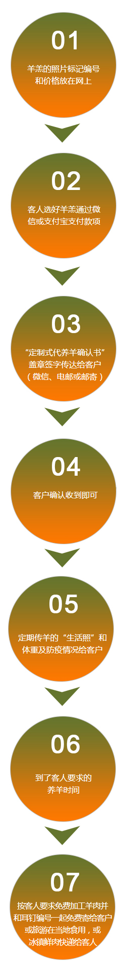 代养流程